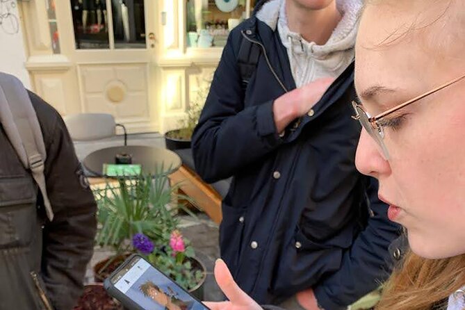 Den Bosch Private Self Guided Pub Crawl - Participation Requirements