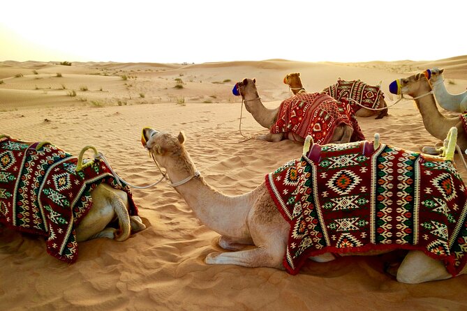 Desert Safari Dubai - Traveler Reviews and Ratings