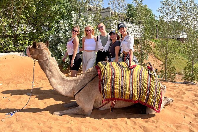 Desert Safari With BBQ Dinner and Camel Ride Experience From Dubai - Safety and Accessibility Details