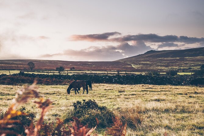 Devon Tour App, Hidden Gems Game and Big Britain Quiz (7 Day Pass) UK - Tour Reviews and Ratings