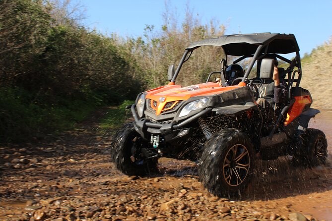 Dirt & Dust Buggy Tour - Safety Considerations