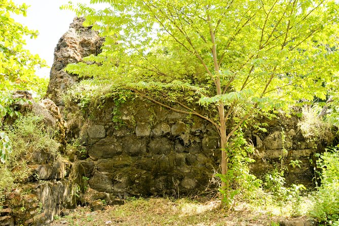 Discover Chinandega From Corinto Shore Excursion - Admire Pre-Columbian Art