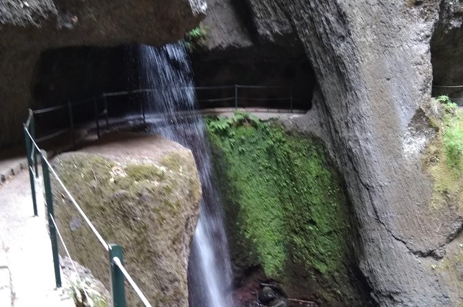 Discover Madeira Island Differently - Sustainable Eco-Tourism Experiences