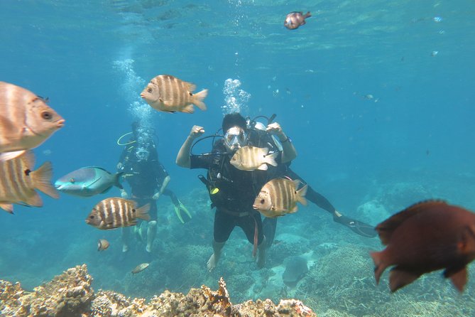 Discover Nha Trang Bay With Scuba Diving Tour - Meeting and Pickup Details