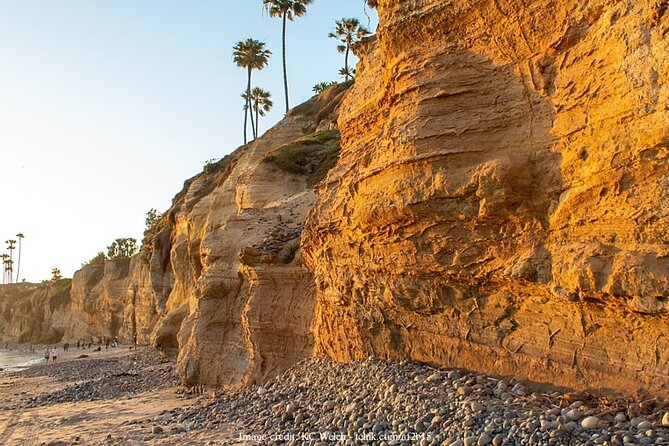 Discover San Diegos Beaches: Private Driving Tour - End Point