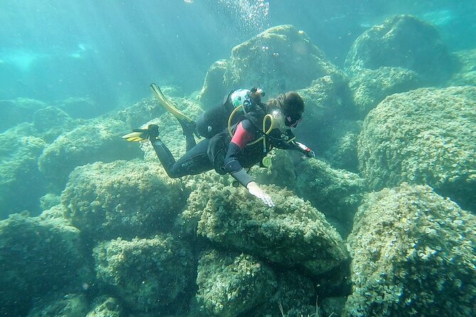 Discover Scuba Diving Baptism of the Sea in Half Day - Cancellation Policy