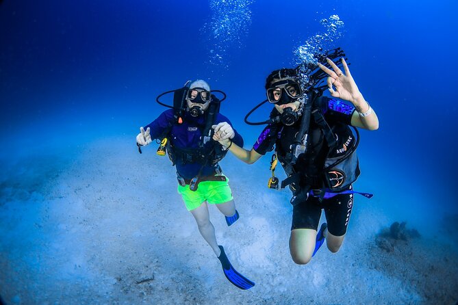 Discover Scuba Diving & Beach Club With Transportation in Riviera Maya - Meeting and Pickup Details