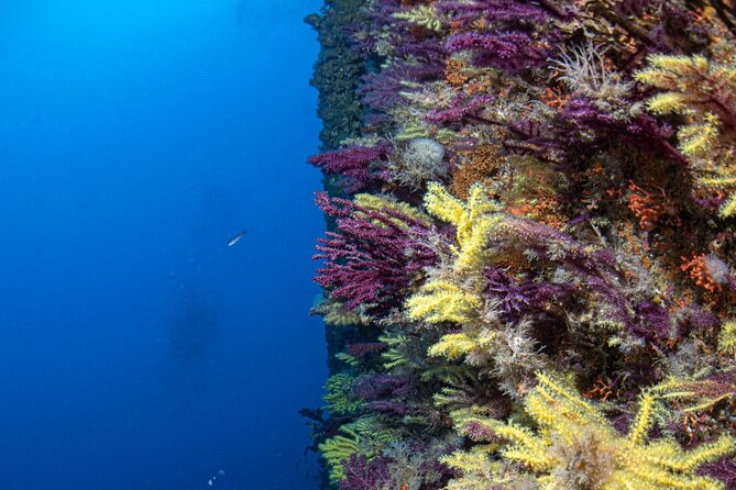 Discover Scuba Diving First Dive Catania - Buoyancy Control and Breath Management
