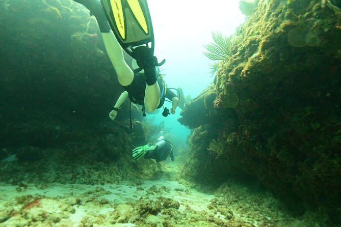 Discover Scuba Diving in Tulum - Activity Guidelines