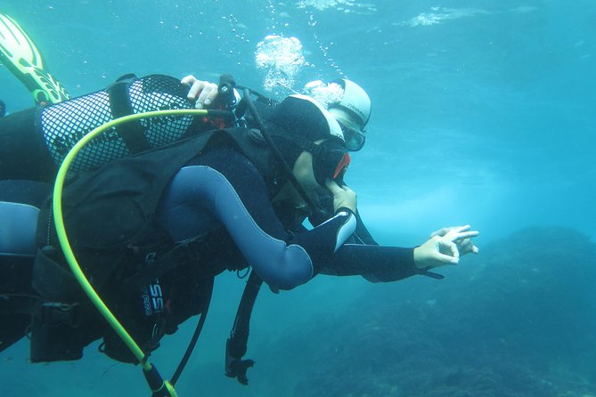 Discover Scuba Diving or Try Dive - Reviews and Ratings