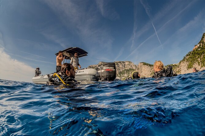 Discover Scuba Diving PADI - Trial Dive in Sorrento - Reviews and Ratings Summary