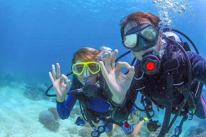 Discover Scuba Experience at Las Caletas, Puerto Vallarta - Positive Customer Feedback