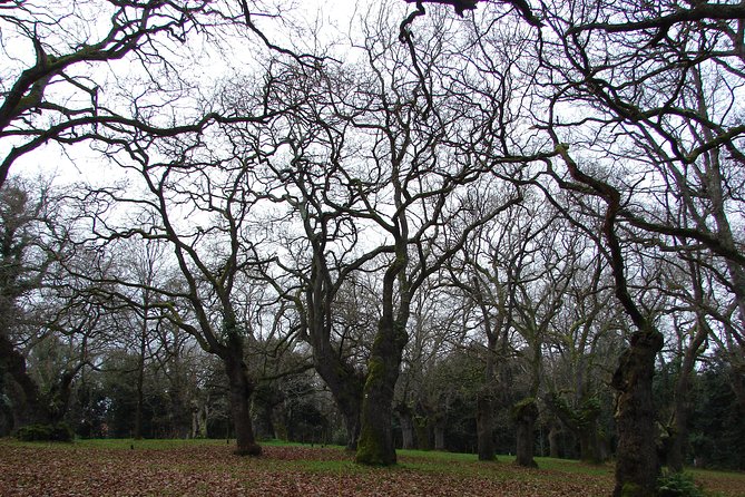 Discover the Highlights of Gijon by Bike - Admiring the Botanical Gardens