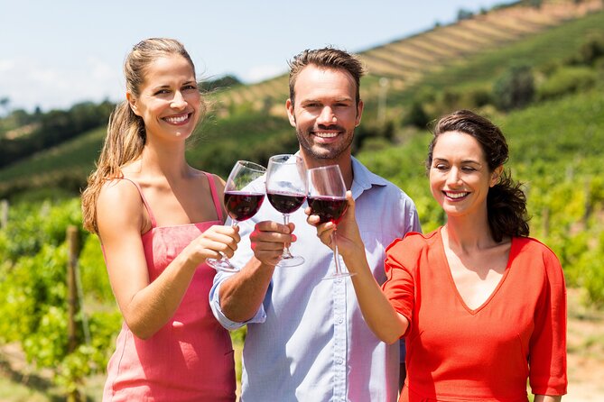 Discover the Winery and Taste Fine Wine in Extremadura - Exploring the Winery and Cellar