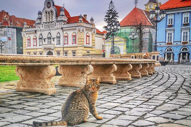 Discover Timisoara by Bicycle - Guided Tour With Knowledgeable Local Expert