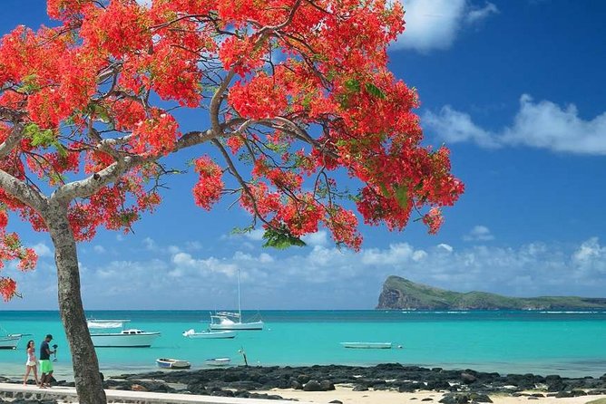 Discovering the North of Mauritius: Full-Day Incl Botanical Garden & Lunch - Blue Penny Museum