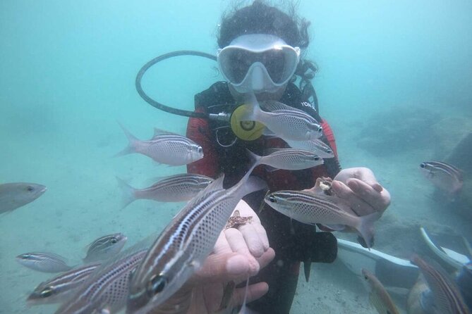 Discovery Scuba Diving in Dubai - Instructor Guidance and Support