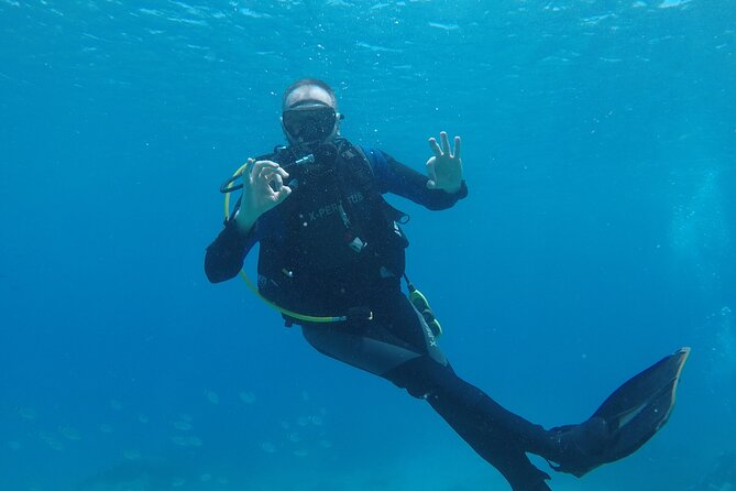 Dive The Rock (Scuba Diving Experience in Protaras) - Questions and Assistance