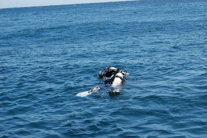 Diving Excursion in Quintay - Preparation and Packing