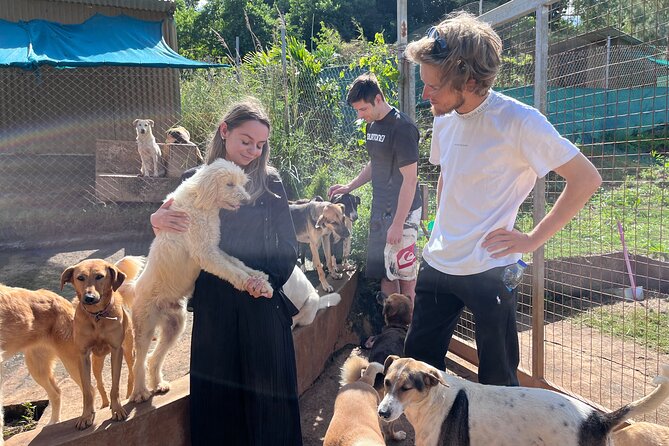 Dog Lovers Guided Tour of the Happy Tails Sanctuary
