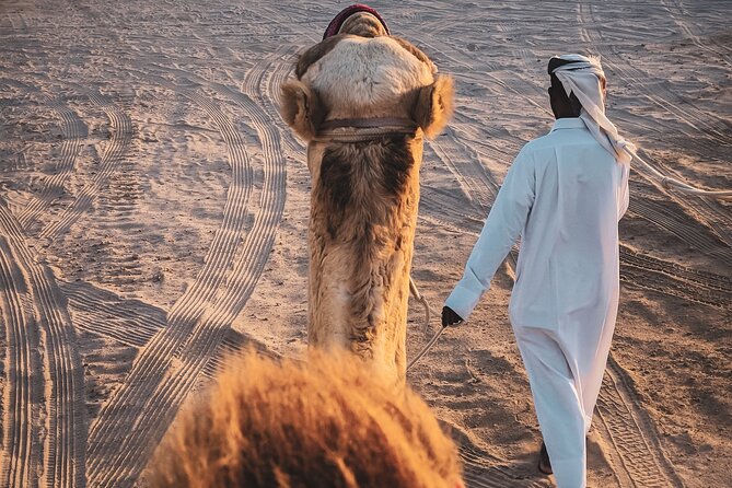Doha Overnight Desert Safari Dinner/Breakfast Included - Accessibility and Requirements