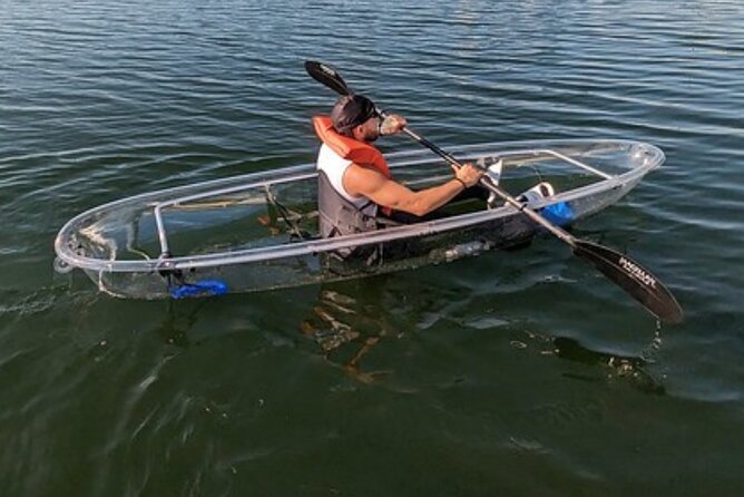 Dolphin and Manatee Clear Kayak or Paddleboard Island Hop Tour - Whats Included
