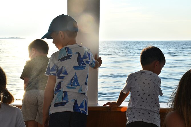Dolphin Safari in Fažana - Tour Schedule and Pricing