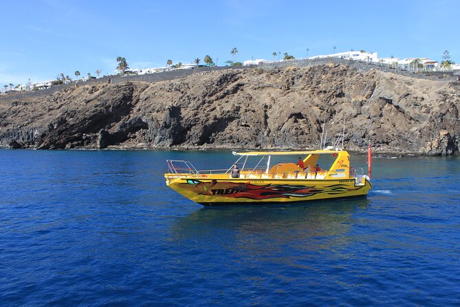 Dolphin Watching Cruise to Lobos Island - What to Expect