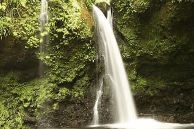 .Dominica Full Day Tour -6 Waterfalls in 1 Day and Rainforest - Tour Highlights