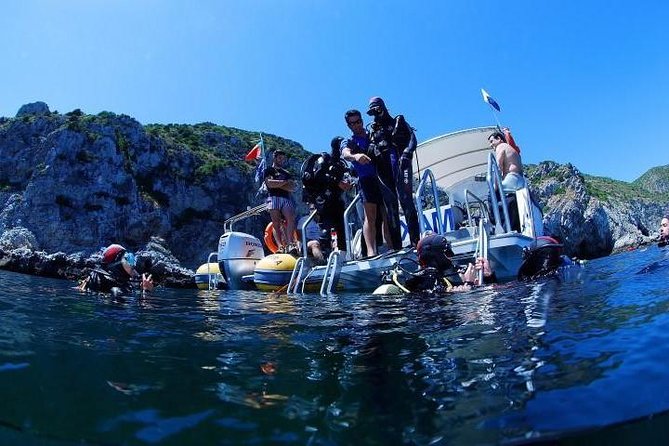 Double Dive in Cascais: A Review - Small Group Experience