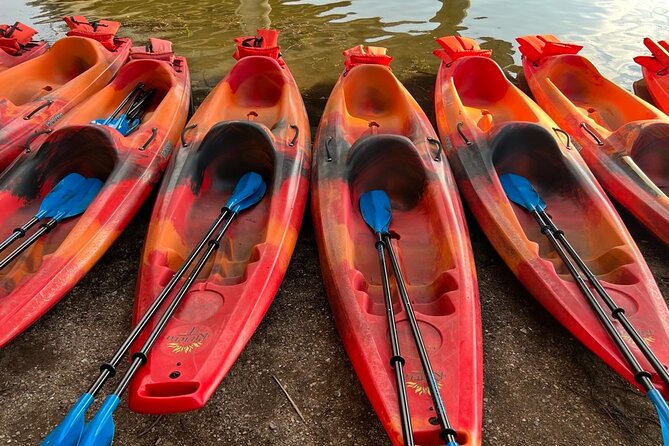 Downtown Austin Sunset Kayak Tour With 1.5 Million Bats - Traveler Feedback