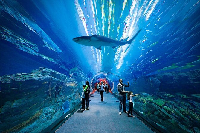 Dubai Aquarium and Underwater Zoo - Accessibility Features