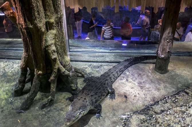 Dubai Aquarium + Penguin Cove Tickets With Transfers - Location and Operating Hours
