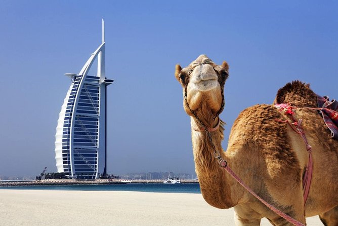 Dubai City Tour : Half Day - Pickup and Meeting Details