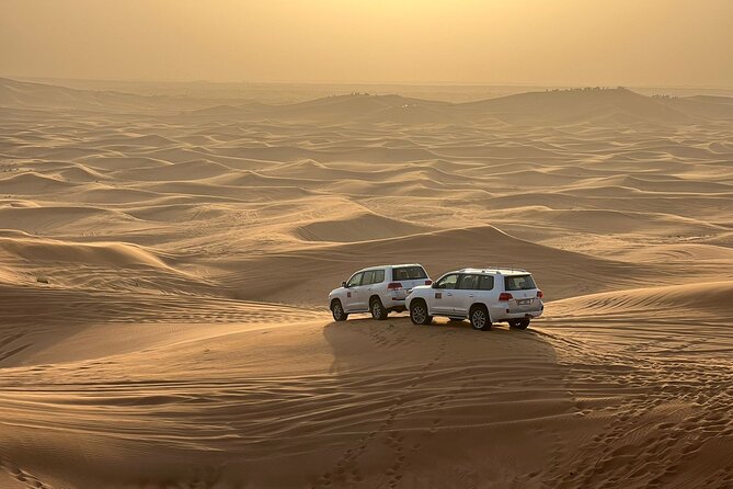 Dubai Evening Desert Safari - Participant Requirements and Accessibility