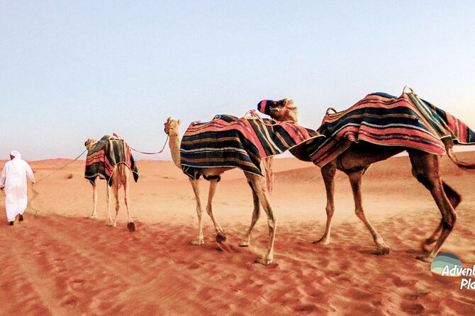 Dubai Full-Day Desert Safari Experience With Live BBQ Dinner - Transportation and Pickup Details