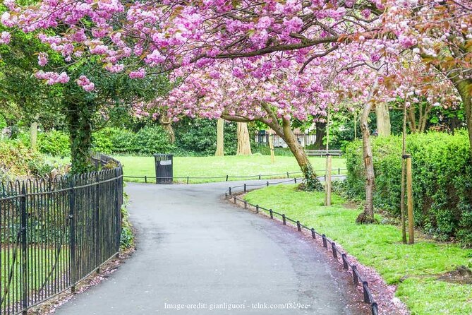 Dublins Literary History: Private Off The Beaten Path Walking Tour - Traveler Experiences and Feedback