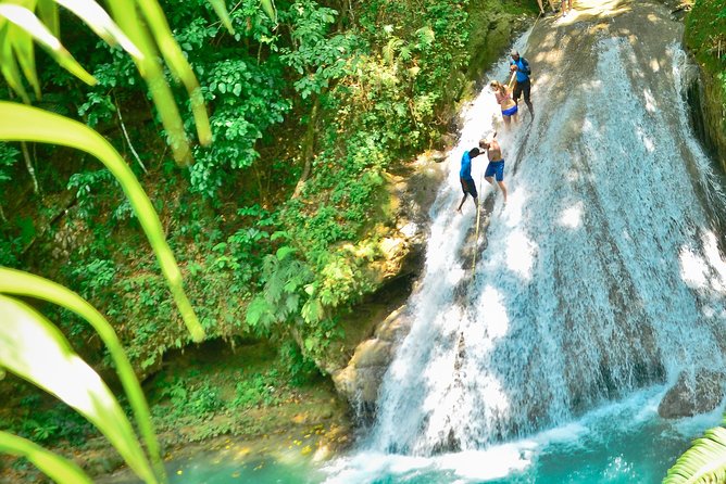 Dunns River & Blue Hole From Runaway Bay - Reviews and Ratings