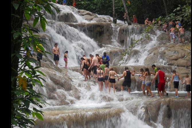 Dunns River Falls & Bob Marley - Tour Logistics and Pickup