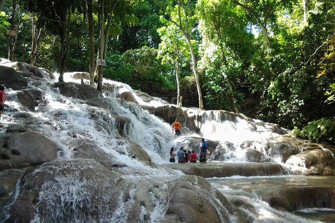 Dunns River Falls Excursion From Montego Bay - Inclusions and Optional Extras
