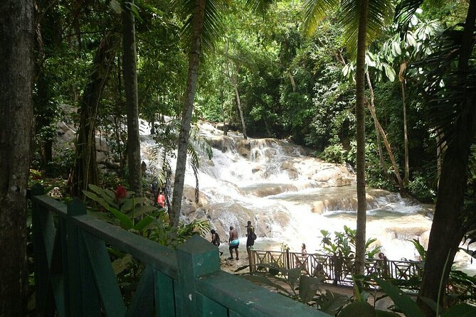 Dunns River Falls Private Tour ** {Entry Tickets Included }** - Traveler Requirements