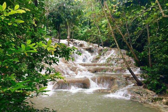 Dunns River Falls Private Tour From Montego Bay - Accessibility and Participation