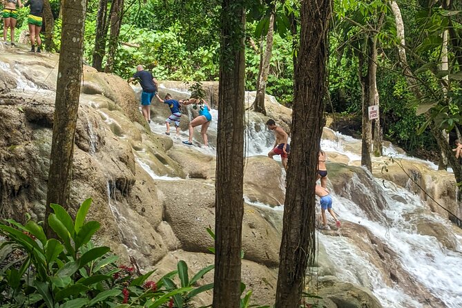 Dunns River Falls, Rafting, Zipline & Horseback From Montego Bay - Health and Safety Restrictions