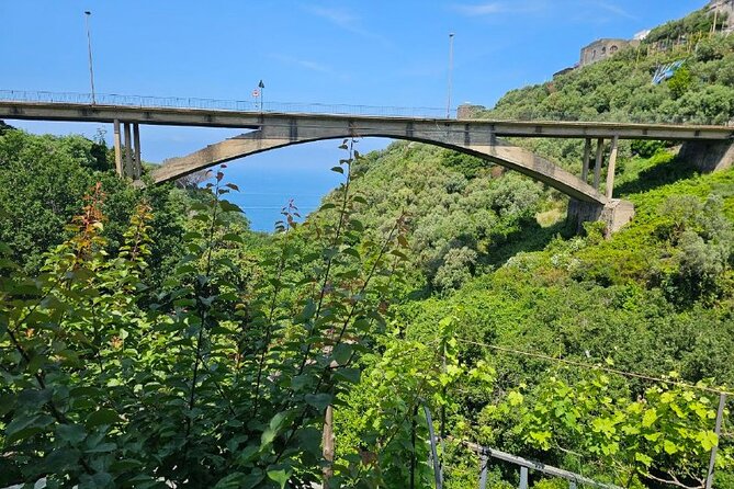 E-Bike Tour in the Sorrento Peninsula and Visit to Acetaia - Customer Reviews and Ratings