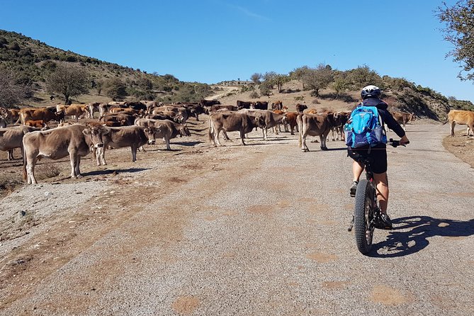 E-Bike Tour on Gennargentu, Upper Flumendosa Lake, Preda Liana - Included Amenities and Gear
