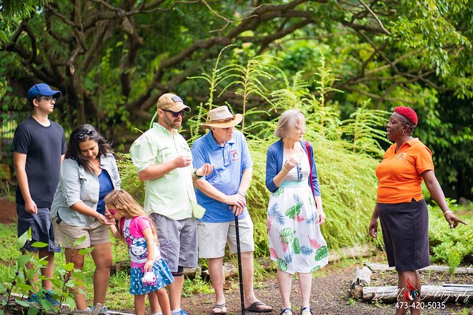 Eastern Tours/ Mt. Carmel Falls / Laura Spice Tour / Clarkes Court Distillery - Health and Safety Information