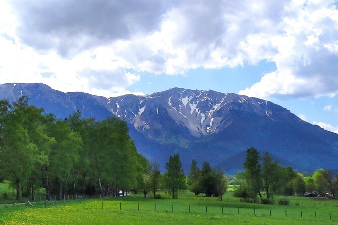 Easy Hiking Alpine Panorama Paradise Private Tour From Vienna - Transportation and Accessibility