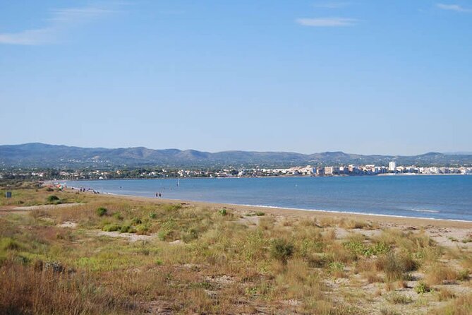 Ebro Delta Guided Tour Review - Tour Highlights