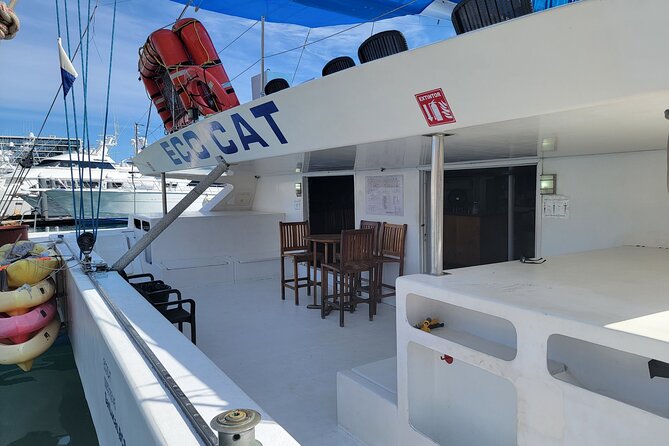EcoCat Snorkel Catamaran Cruise in Cabo - Accessibility and Participation