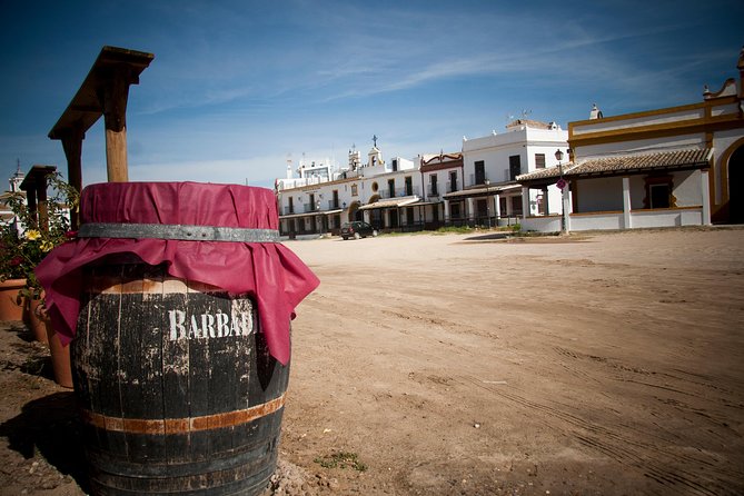 El Rocio, Donana Natural Park and Matalascanas Beach Day Trip From Seville - El Rocio Pilgrimage Site